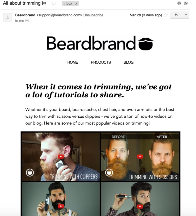 lead nurture email beardbrand