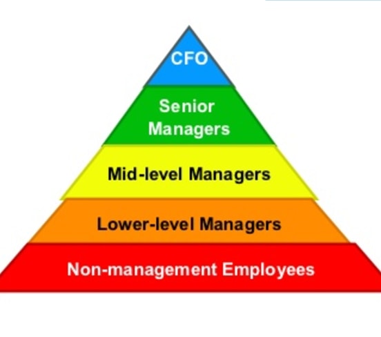 layers of management